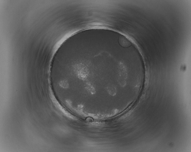 X0000114591333200911161322