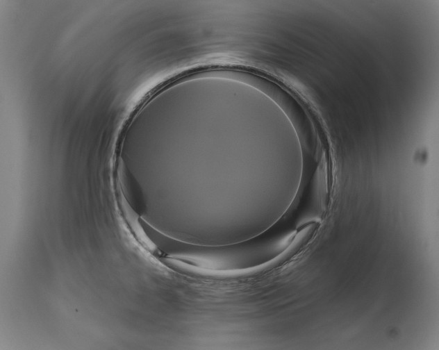 X0000114591334200911161322