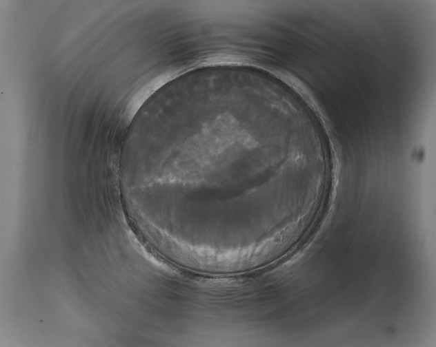 X0000114591337200911161323