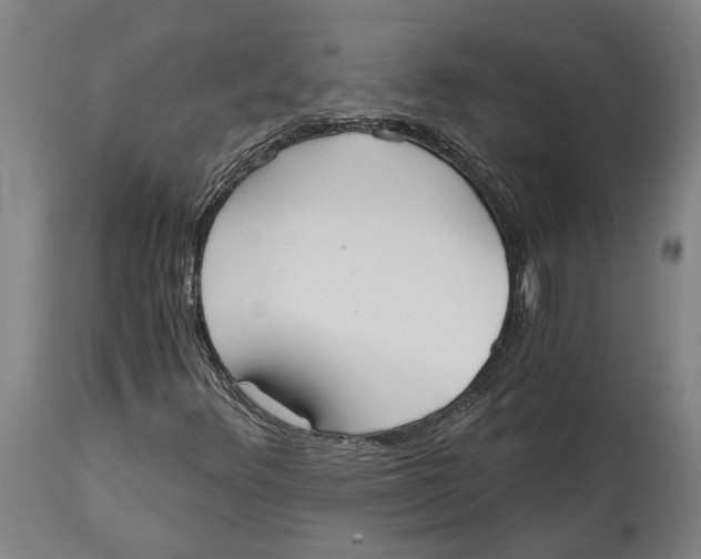 X0000114591348200911161322