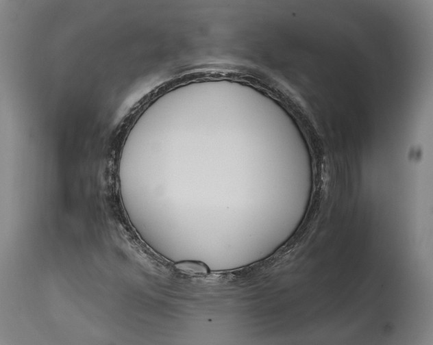 X0000114591352200911161322