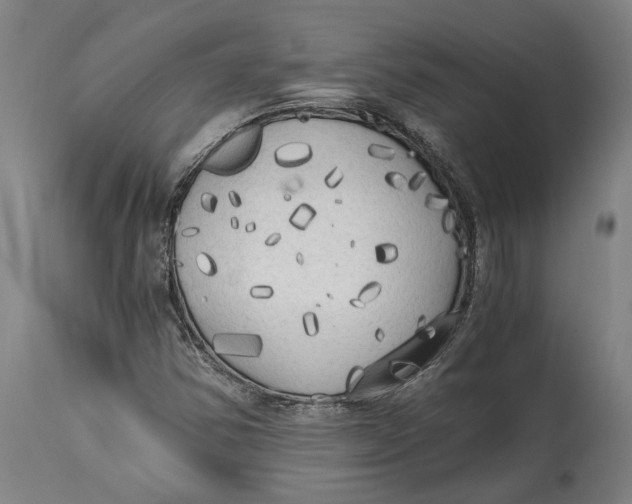 X0000114591354200911161322