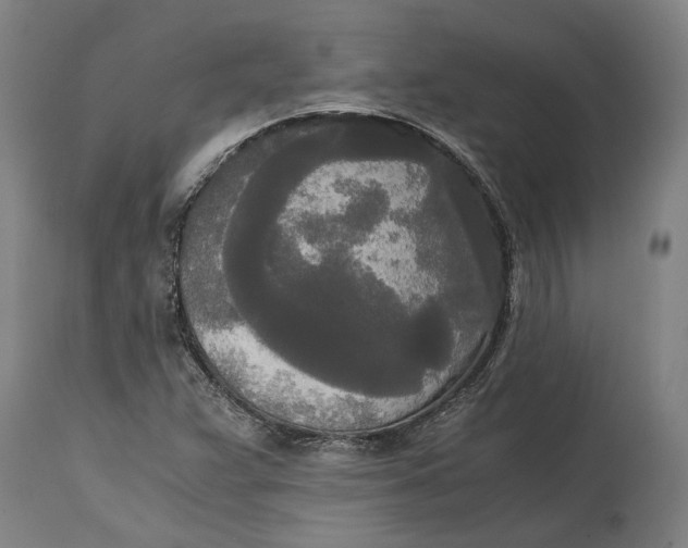 X0000114591359200911161322