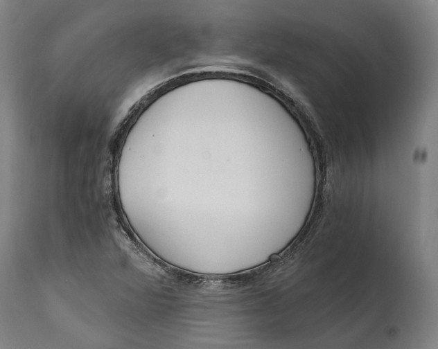 X0000114591360200911161322