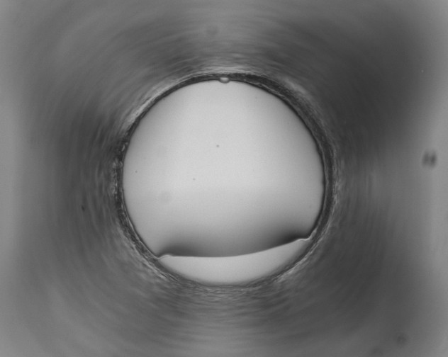 X0000114591361200911161322