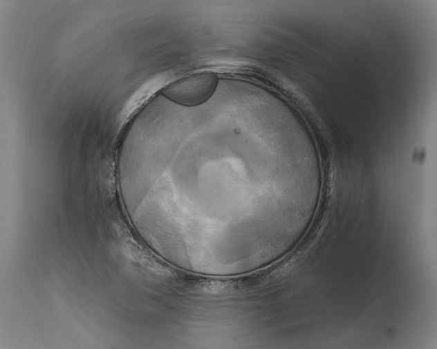 X0000114591362200911161322