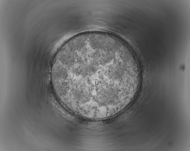 X0000114591363200911161322