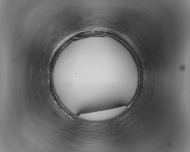 X0000114591364200911161322