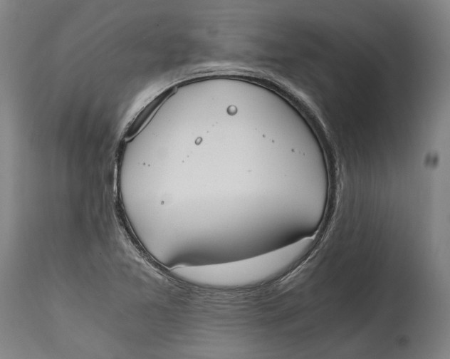 X0000114591365200911161322