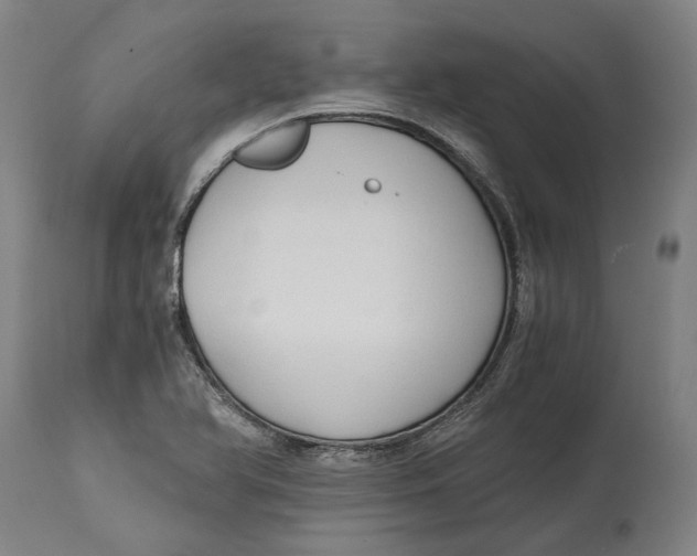 X0000114591366200911161322