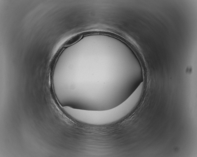 X0000114591368200911161322