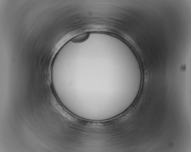 X0000114591370200911161322