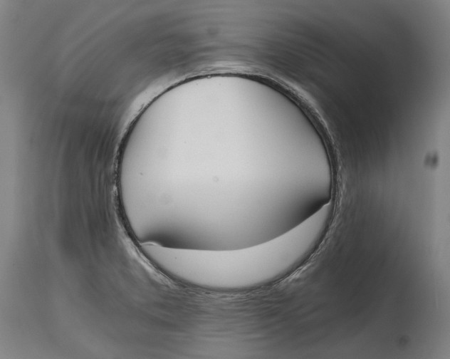 X0000114591373200911161322