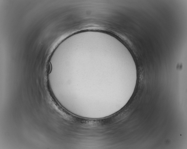 X0000114591375200911161322