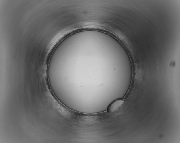 X0000114591376200911161322