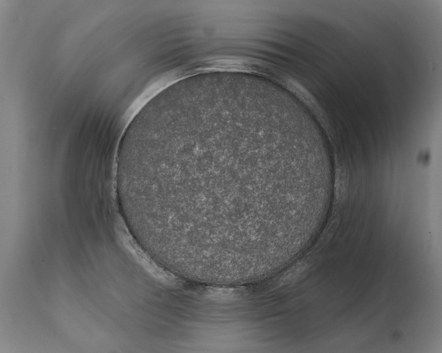 X0000114591378200911161321