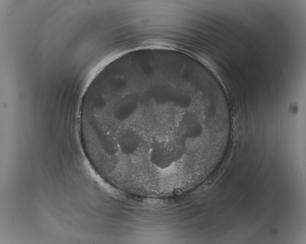 X0000114591379200911161321