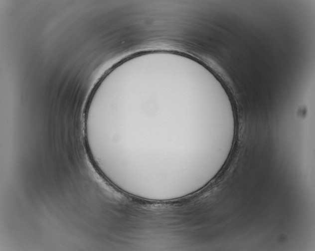 X0000114591380200911161321