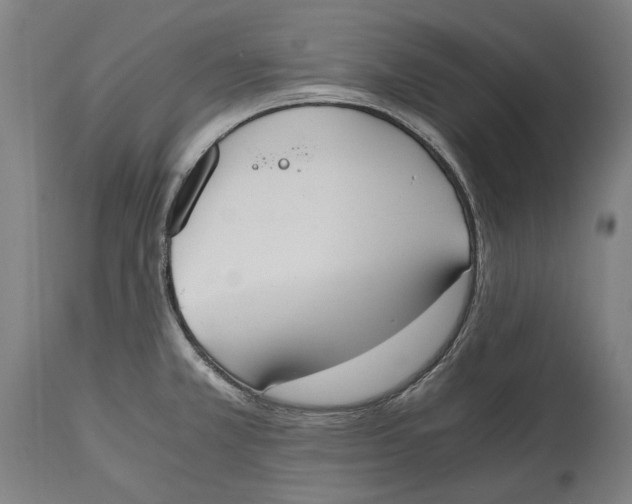 X0000114591381200911161321