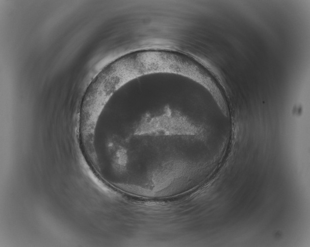 X0000114591383200911161321