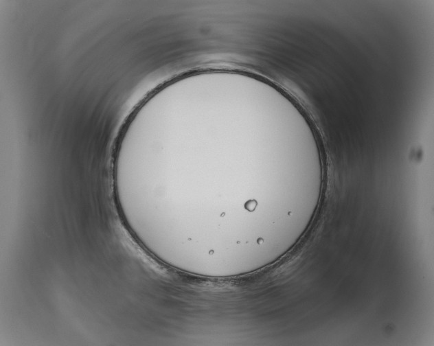 X0000114591384200911161321