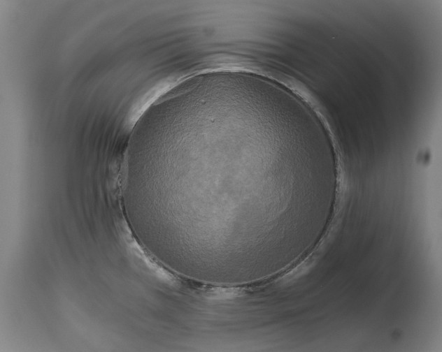 X0000114591385200911161321