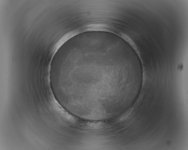 X0000114591386200911161321