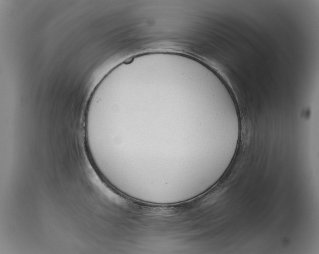 X0000114591387200911161321