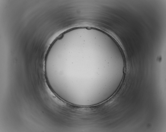 X0000114591388200911161321