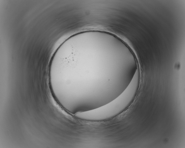 X0000114591389200911161321