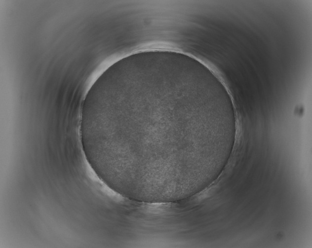 X0000114591390200911161321