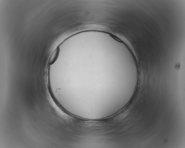 X0000114591391200911161321