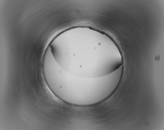 X0000114591392200911161321