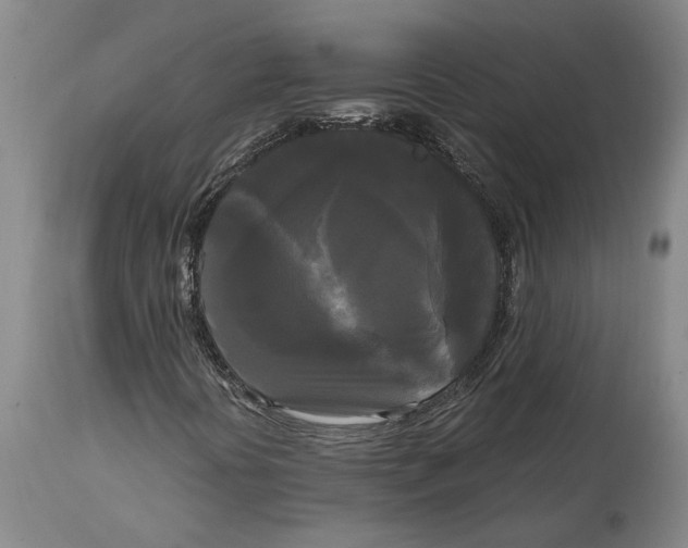 X0000114591394200911161321