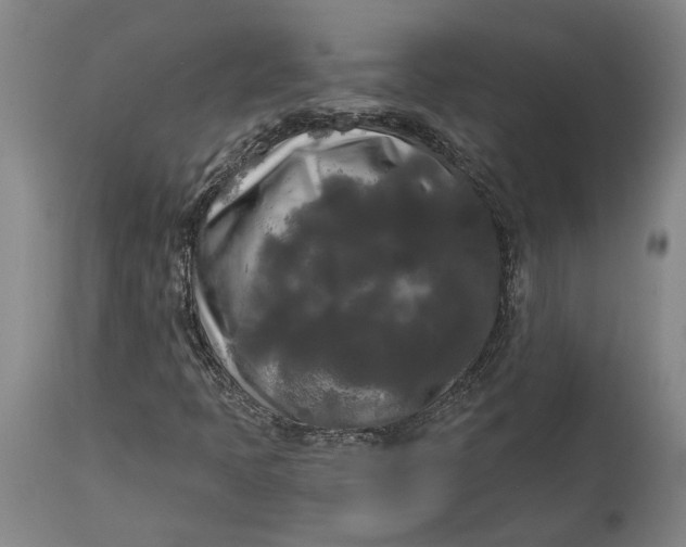 X0000114591397200911161321