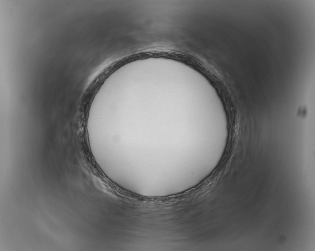 X0000114591400200911161321