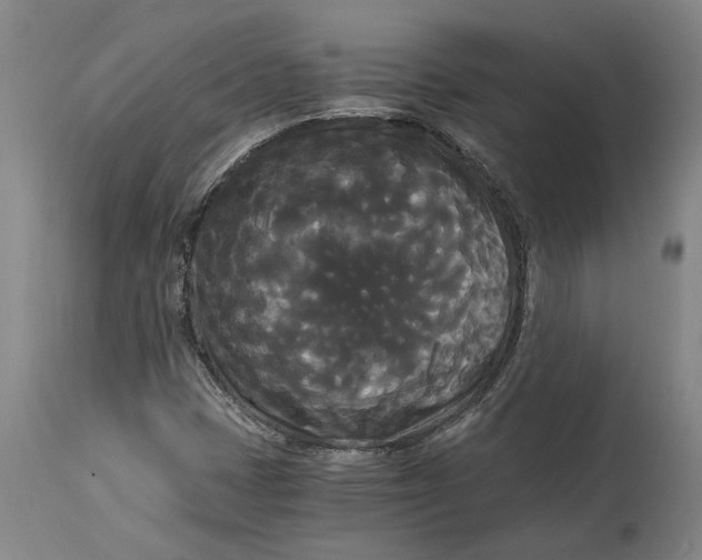 X0000114591401200911161321