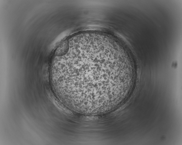 X0000114591403200911161321