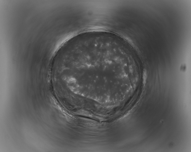 X0000114591405200911161321