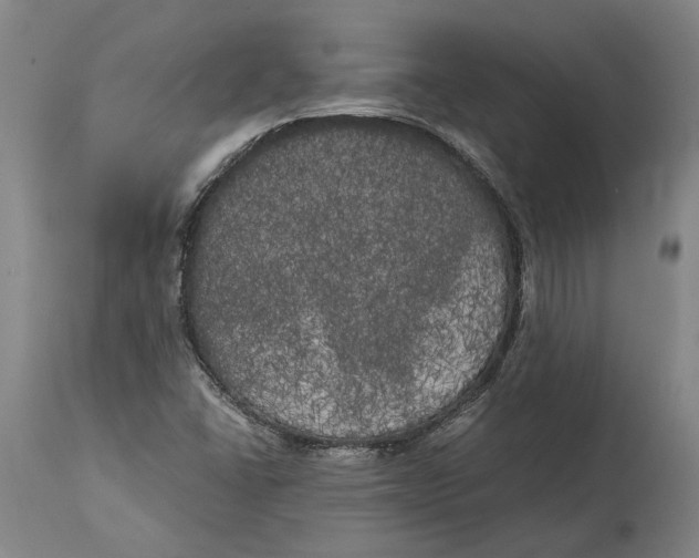 X0000114591406200911161321