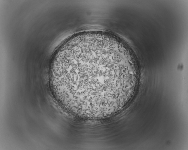 X0000114591407200911161321