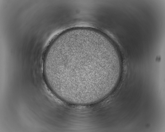 X0000114591408200911161321