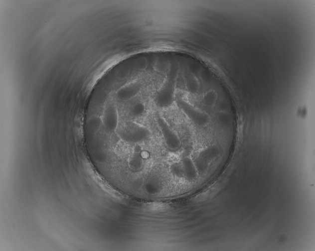 X0000114591409200911161321