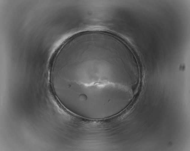 X0000114591414200911161321