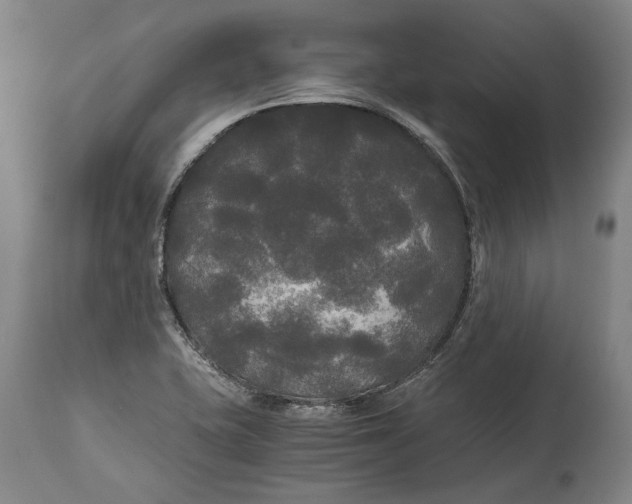 X0000114591415200911161321