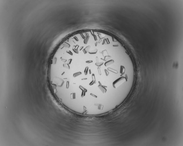 X0000114591416200911161321