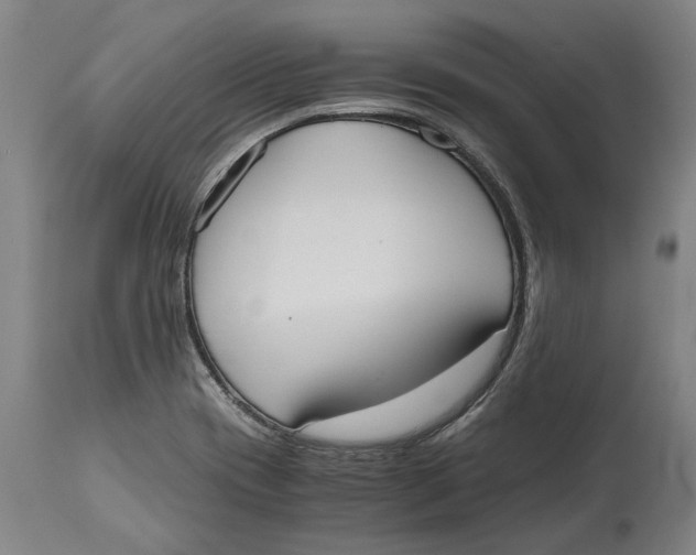 X0000114591417200911161321