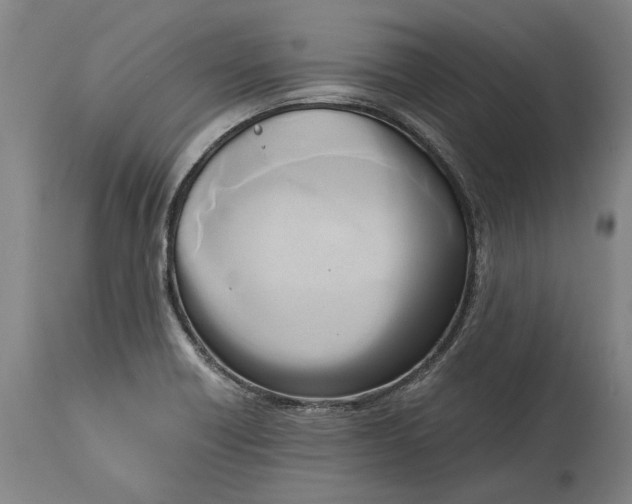 X0000114591418200911161321