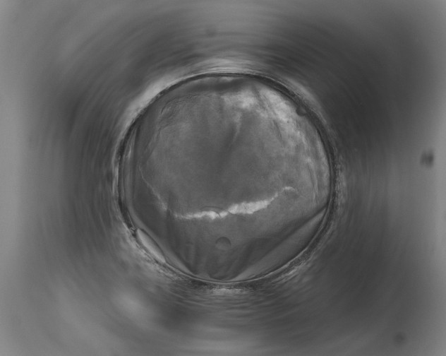 X0000114591419200911161321