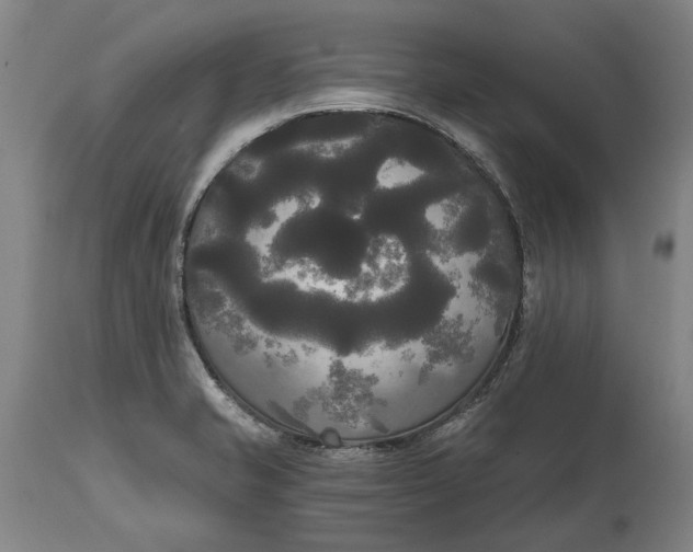 X0000114591421200911161321